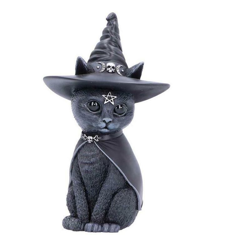 SIX - Black Cats