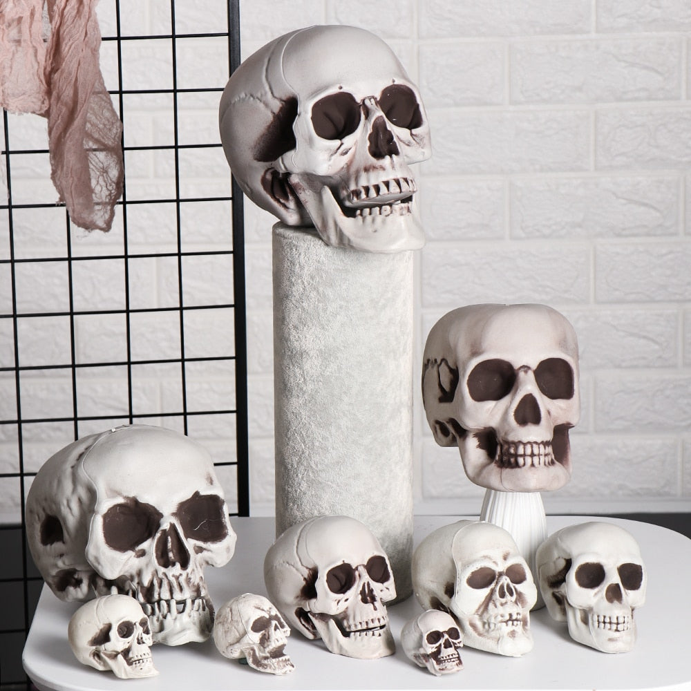 SIX - Realistic Skull Decoration