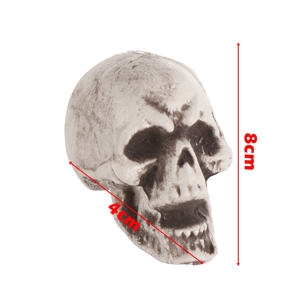 SIX - Realistic Skull Decoration