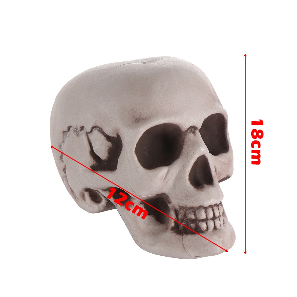 SIX - Realistic Skull Decoration