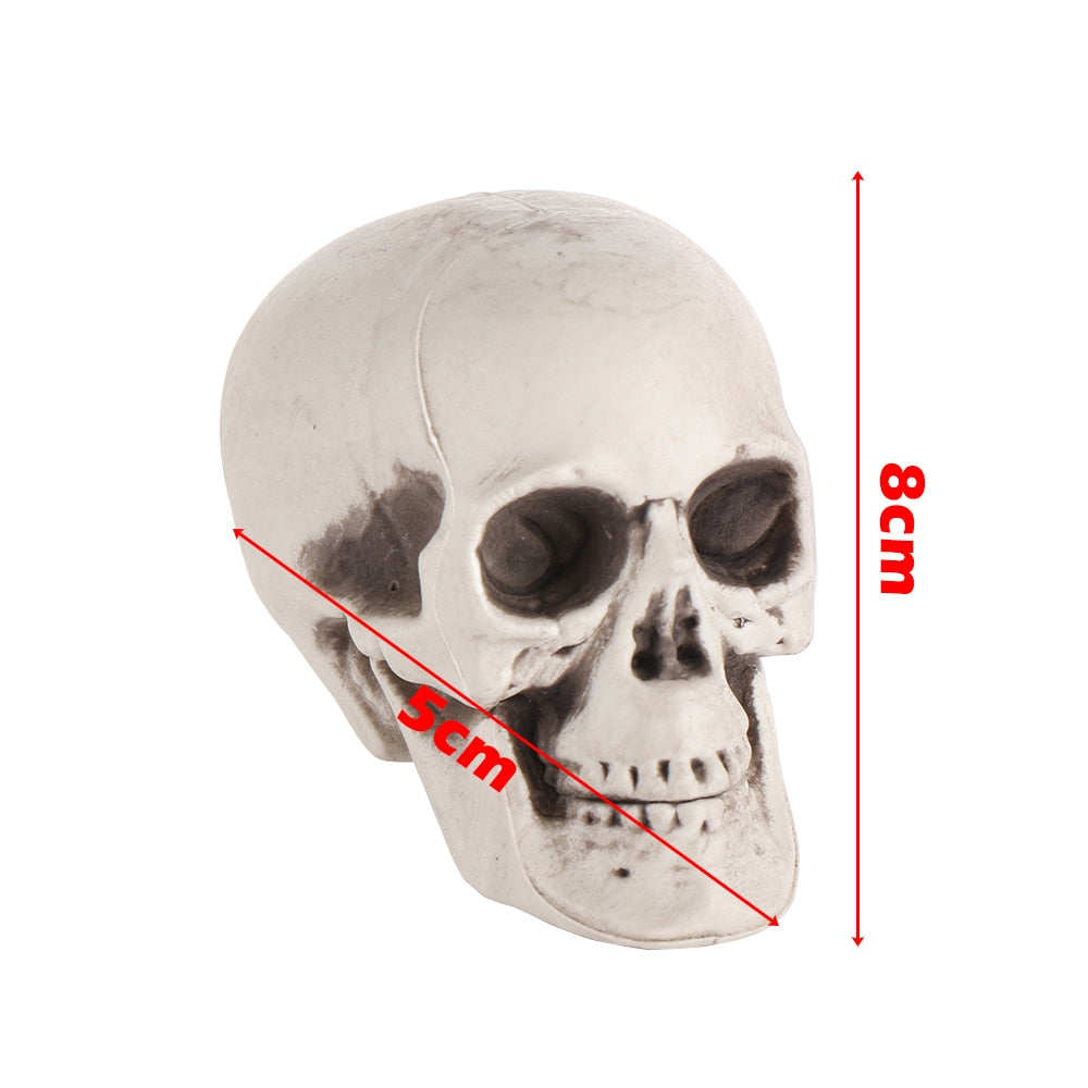 SIX - Realistic Skull Decoration