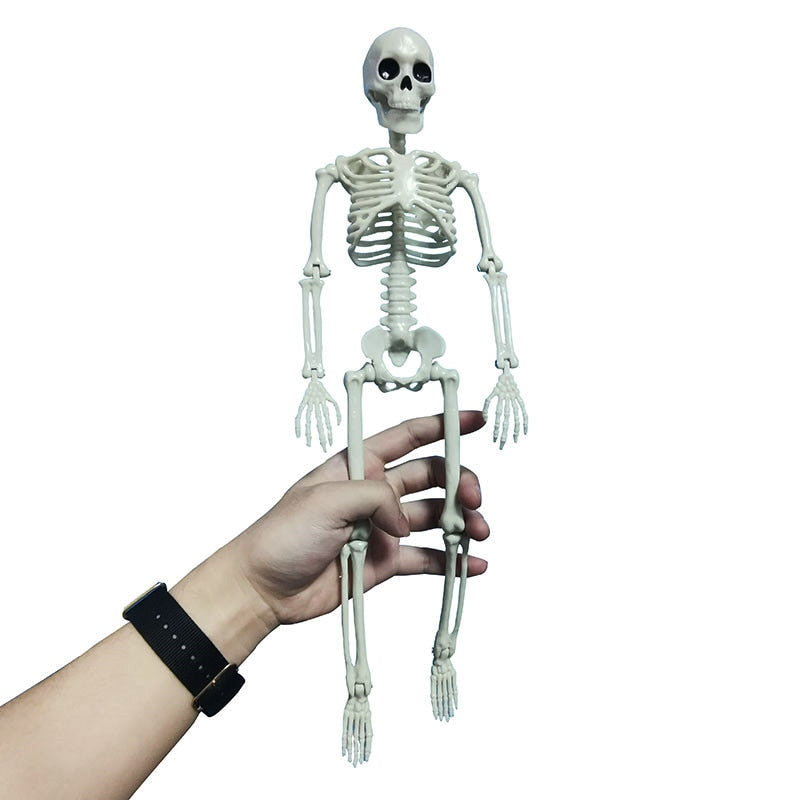 SIX - Skeleton Rear View Mirror Hanger