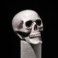 SIX - Realistic Skull Decoration