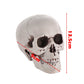 SIX - Realistic Skull Decoration