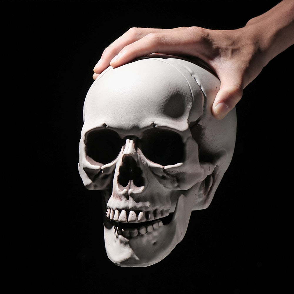 SIX - Realistic Skull Decoration