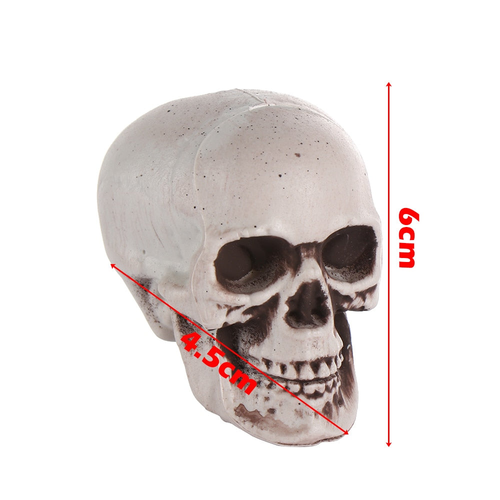SIX - Realistic Skull Decoration