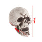 SIX - Realistic Skull Decoration