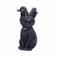 SIX - Black Cats