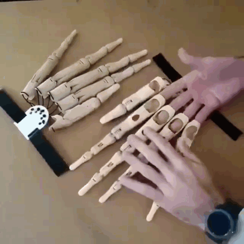 SIX™ Skeleton Fingers (pair)